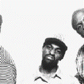 The Dove Shack - List pictures