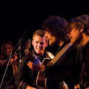 Tangarine - List pictures