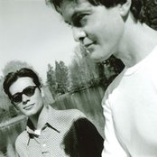 Cardinal - List pictures