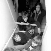 The Coral - List pictures