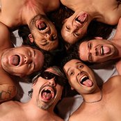 Banda Das Velhas Virgens - List pictures