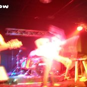 Willow - List pictures