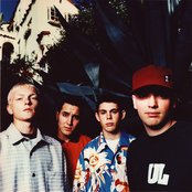 Slick Shoes - List pictures