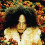 Cree Summer - List pictures