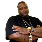 Bully - List pictures