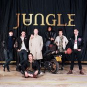 Jungle - List pictures