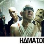 Hämatom - List pictures