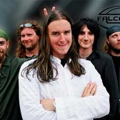 Falconer - List pictures