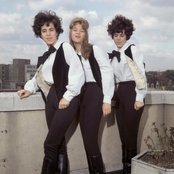The Shangri-las - List pictures