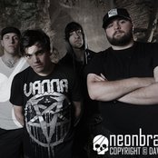 Stray From The Path - List pictures