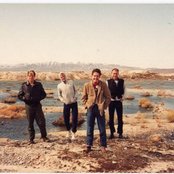 The Members - List pictures