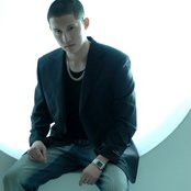 Steve Hoang - List pictures