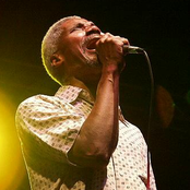 Robert Bradley's Blackwater Surprise - List pictures