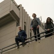 Dinosaur Pile-up - List pictures