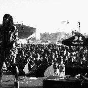 New Years Day - List pictures