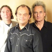 Elephant - List pictures