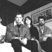 Silkworm - List pictures