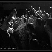 Outbreak - List pictures