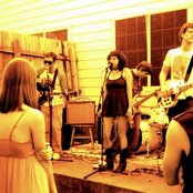 A Giant Dog - List pictures