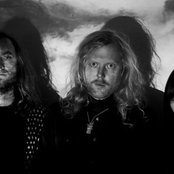 Forest - List pictures