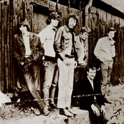 Climax Blues Band - List pictures
