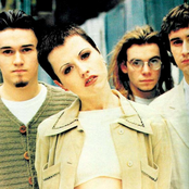 Cranberries - List pictures