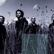 Craving Theo - List pictures