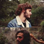 Plastic Flowers - List pictures