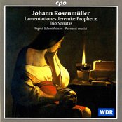 Chameleons - List pictures