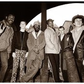 English Beat - List pictures