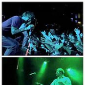 The Sound Of Animals Fighting - List pictures