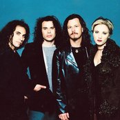 Baby Animals - List pictures