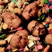 Digby - List pictures