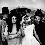 Slits - List pictures