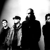 Skunk Anansie - List pictures
