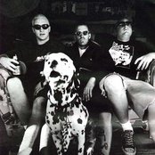 Sublime - List pictures