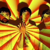 Animal Collective - List pictures