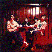 Tortoise - List pictures