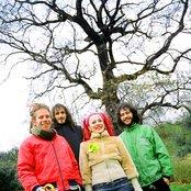 Anima - List pictures