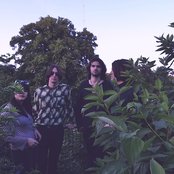 Loaded - List pictures