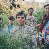 Pegase - List pictures