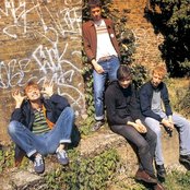 Blur - List pictures