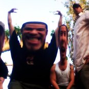 Green Lizard - List pictures