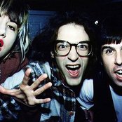 The Muffs - List pictures