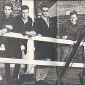 Close Lobsters - List pictures