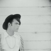 Plastic Flowers - List pictures