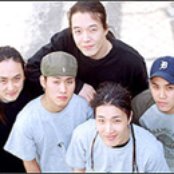 Crash - List pictures