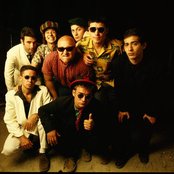 Los Fabulosos Cadillacs - List pictures