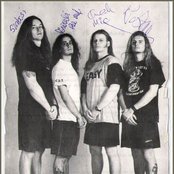 Cadaveres De Tortugas - List pictures