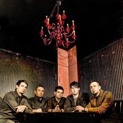 32 Leaves - List pictures